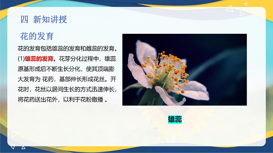 項目2 2.4 植物的生殖器官（2）（課件）-《植物生產與環(huán)境》（高教版第4版）同步精品課堂第5頁