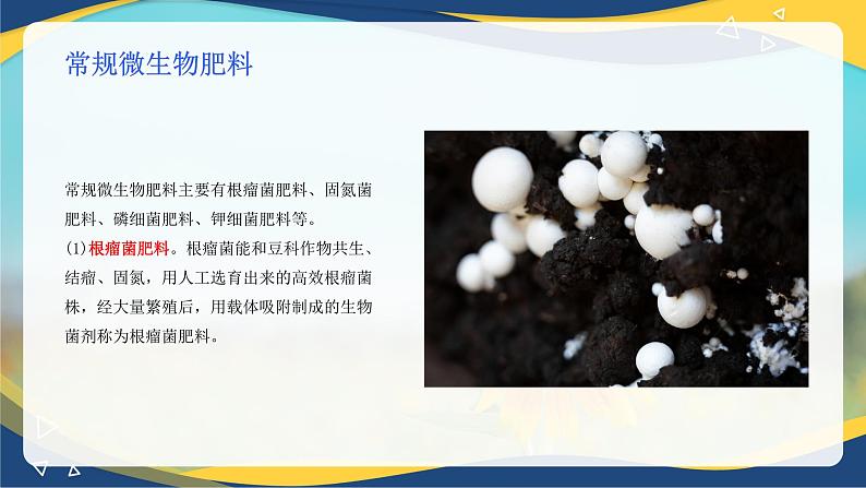 项目3 3.3 植物营养与科学施肥(5)(课件)-《植物生产与环境》(高教版第4版)同步精品课堂08
