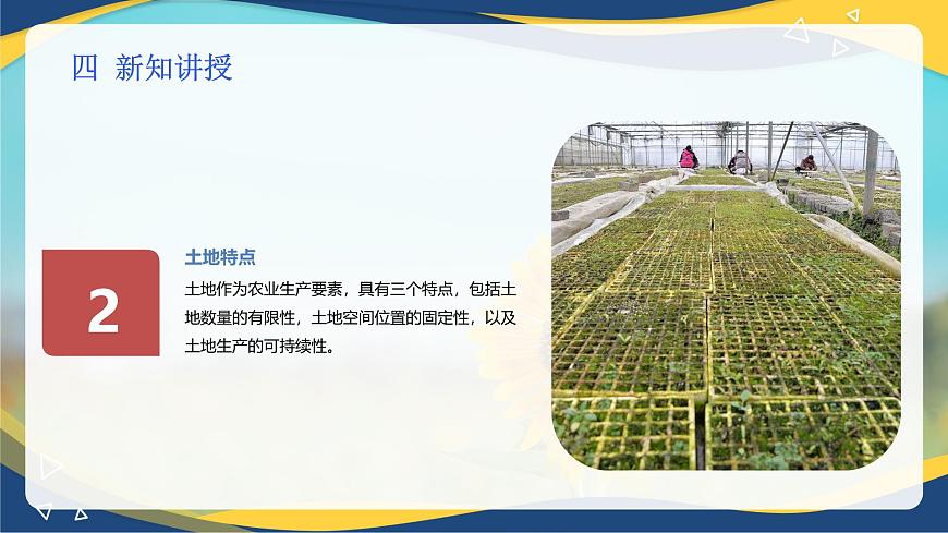 項目1 1.2 植物生產(chǎn)的兩大要素(2)(課件)- 《植物生產(chǎn)與環(huán)境》(高教版第四版)同步精品課堂第6頁