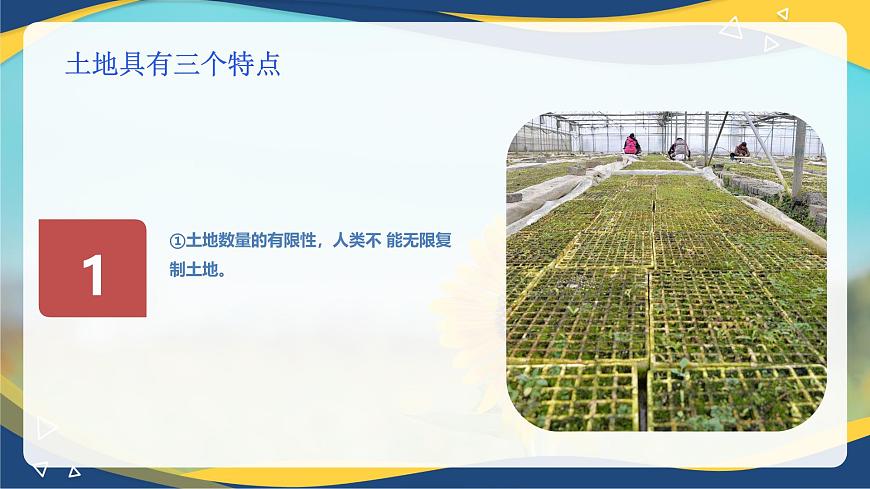 項目1 1.2 植物生產(chǎn)的兩大要素(2)(課件)- 《植物生產(chǎn)與環(huán)境》(高教版第四版)同步精品課堂第8頁