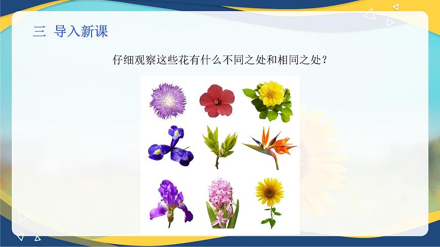 項(xiàng)目2 2.4 植物的生殖器官（1）（課件）-《植物生產(chǎn)與環(huán)境》（高教版第4版）同步精品課堂第4頁