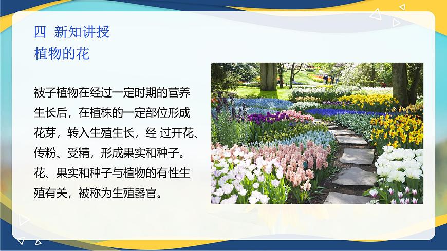 項(xiàng)目2 2.4 植物的生殖器官（1）（課件）-《植物生產(chǎn)與環(huán)境》（高教版第4版）同步精品課堂第5頁