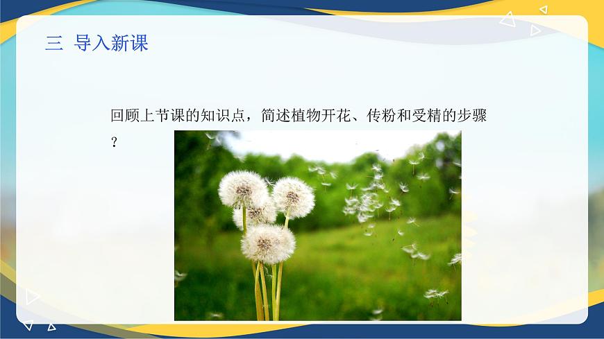 項(xiàng)目2 2.4 植物的生殖器官（3）（課件）-《植物生產(chǎn)與環(huán)境》（高教版第4版）同步精品課堂第4頁(yè)