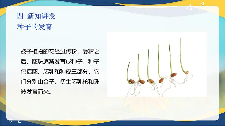 項(xiàng)目2 2.4 植物的生殖器官（3）（課件）-《植物生產(chǎn)與環(huán)境》（高教版第4版）同步精品課堂第5頁(yè)