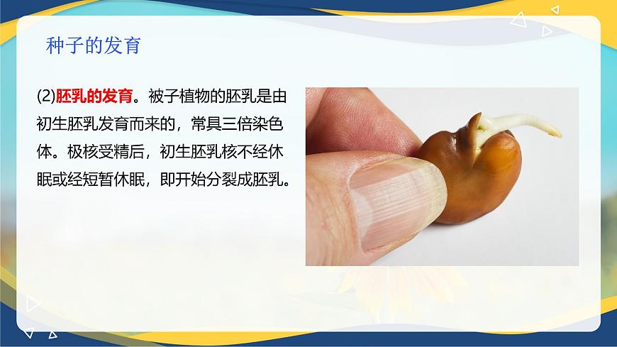 項(xiàng)目2 2.4 植物的生殖器官（3）（課件）-《植物生產(chǎn)與環(huán)境》（高教版第4版）同步精品課堂第8頁(yè)