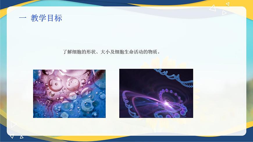 項(xiàng)目2 2.1 植物的細(xì)胞（1）（課件）-《植物生產(chǎn)與環(huán)境》（高教版第4版）同步精品課堂第2頁(yè)