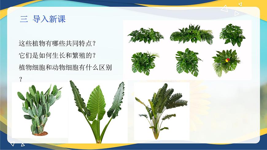 項(xiàng)目2 2.1 植物的細(xì)胞（1）（課件）-《植物生產(chǎn)與環(huán)境》（高教版第4版）同步精品課堂第4頁(yè)