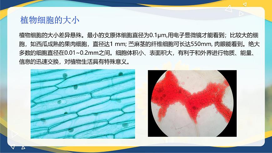 項(xiàng)目2 2.1 植物的細(xì)胞（1）（課件）-《植物生產(chǎn)與環(huán)境》（高教版第4版）同步精品課堂第7頁(yè)