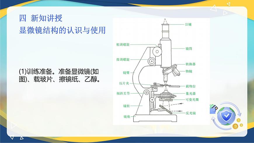 項(xiàng)目2 2.1 顯微鏡結(jié)構(gòu)的認(rèn)識(shí)與使用（課件）-《植物生產(chǎn)與環(huán)境》（高教版第4版）同步精品課堂第5頁(yè)