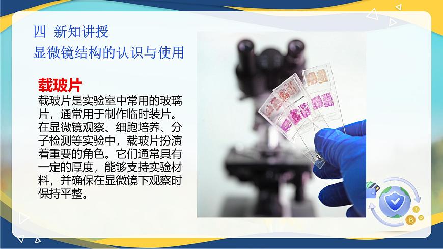 項(xiàng)目2 2.1 顯微鏡結(jié)構(gòu)的認(rèn)識(shí)與使用（課件）-《植物生產(chǎn)與環(huán)境》（高教版第4版）同步精品課堂第6頁(yè)