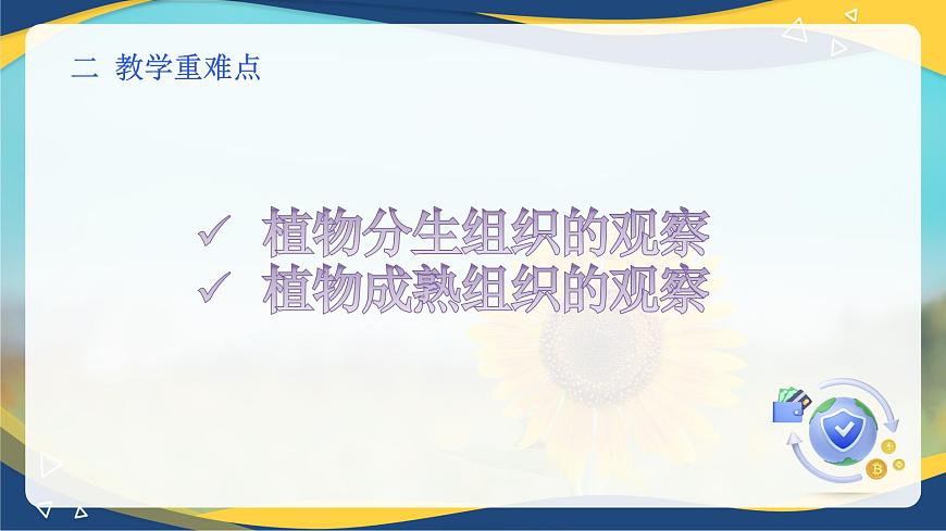 項(xiàng)目2 2.2 植物分生組織&成熟組織的觀察（課件）-《植物生產(chǎn)與環(huán)境》（高教版第4版）同步精品課堂第3頁(yè)
