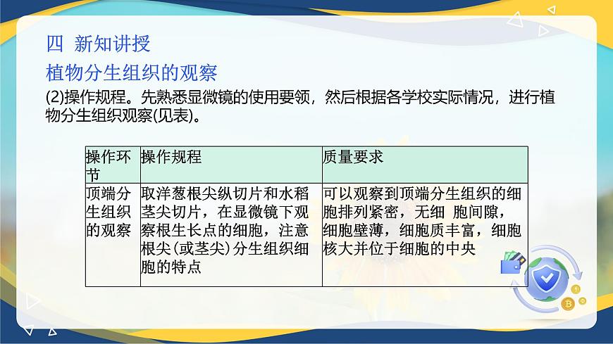 項(xiàng)目2 2.2 植物分生組織&成熟組織的觀察（課件）-《植物生產(chǎn)與環(huán)境》（高教版第4版）同步精品課堂第7頁(yè)