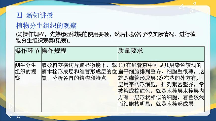 項(xiàng)目2 2.2 植物分生組織&成熟組織的觀察（課件）-《植物生產(chǎn)與環(huán)境》（高教版第4版）同步精品課堂第8頁(yè)