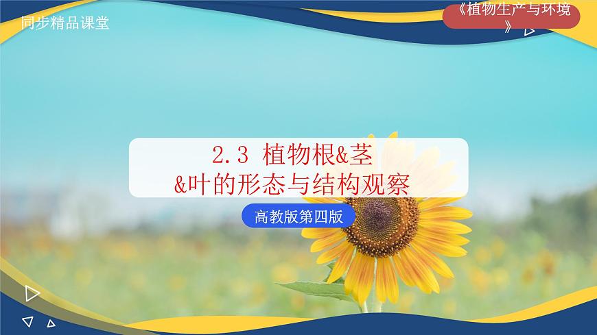 項目2 2.3 植物根&莖&葉的形態(tài)與結(jié)構(gòu)觀察（課件）-《植物生產(chǎn)與環(huán)境》（高教版第4版）同步精品課堂第1頁