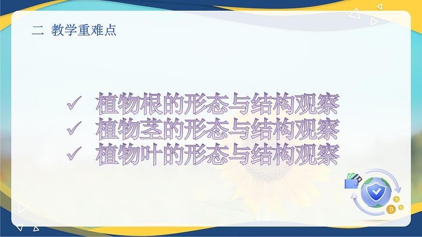 項目2 2.3 植物根&莖&葉的形態(tài)與結(jié)構(gòu)觀察（課件）-《植物生產(chǎn)與環(huán)境》（高教版第4版）同步精品課堂第3頁