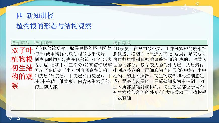 項目2 2.3 植物根&莖&葉的形態(tài)與結(jié)構(gòu)觀察（課件）-《植物生產(chǎn)與環(huán)境》（高教版第4版）同步精品課堂第8頁