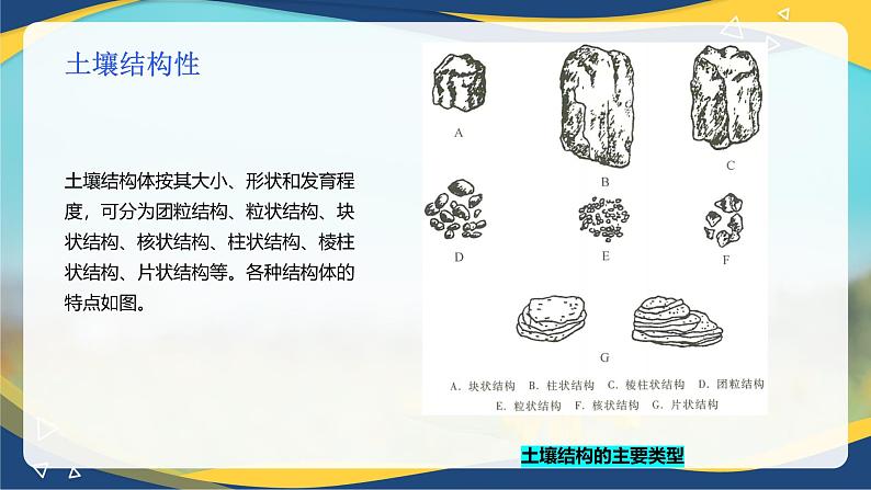 项目3 3.2 土壤的基本性质(2)(课件)-《植物生产与环境》(高教版第4版)同步精品课堂第7页