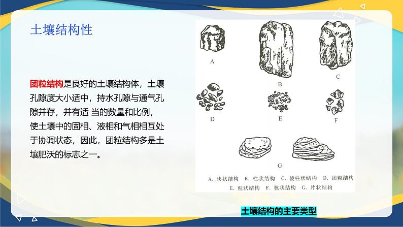 项目3 3.2 土壤的基本性质(2)(课件)-《植物生产与环境》(高教版第4版)同步精品课堂第8页