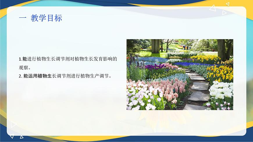 項目2 2.5 植物生長調(diào)節(jié)劑對植物生長發(fā)育影響的觀察(課件)-《植物生產(chǎn)與環(huán)境》(高教版第4版)同步精品課堂第2頁