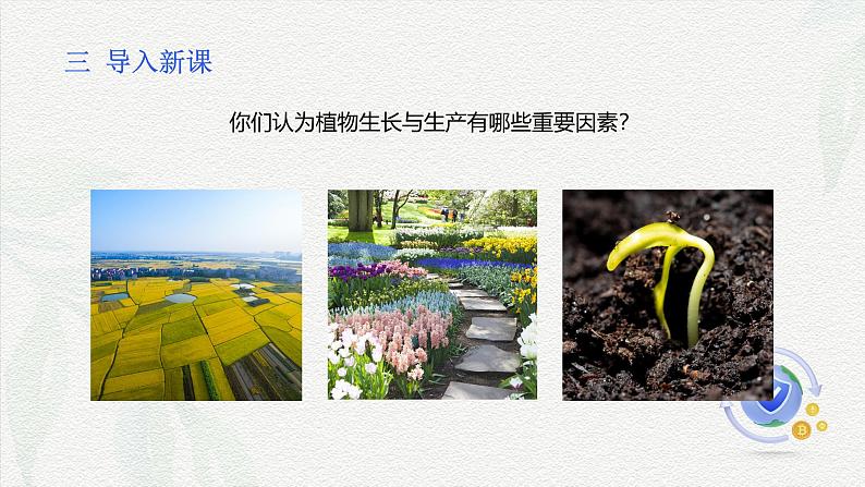 项目1 1.1 植物生产与环境概述(1)(课件)- 《植物生产与环境》(高教版第四版)同步精品课堂第4页