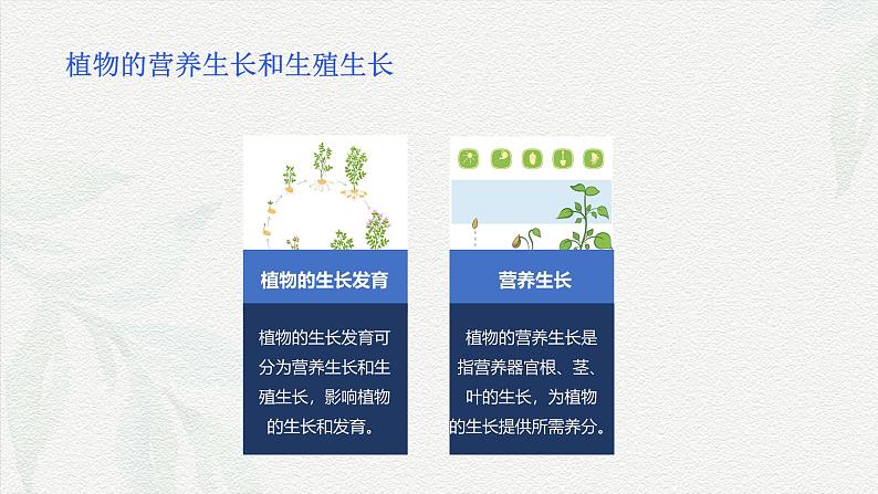 项目1 1.1 植物生产与环境概述(1)(课件)- 《植物生产与环境》(高教版第四版)同步精品课堂第8页