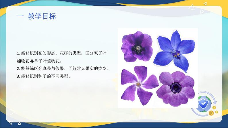 项目2 2.4 植物花的形态与结构观察(课件)-《植物生产与环境》(高教版第4版)同步精品课堂第2页