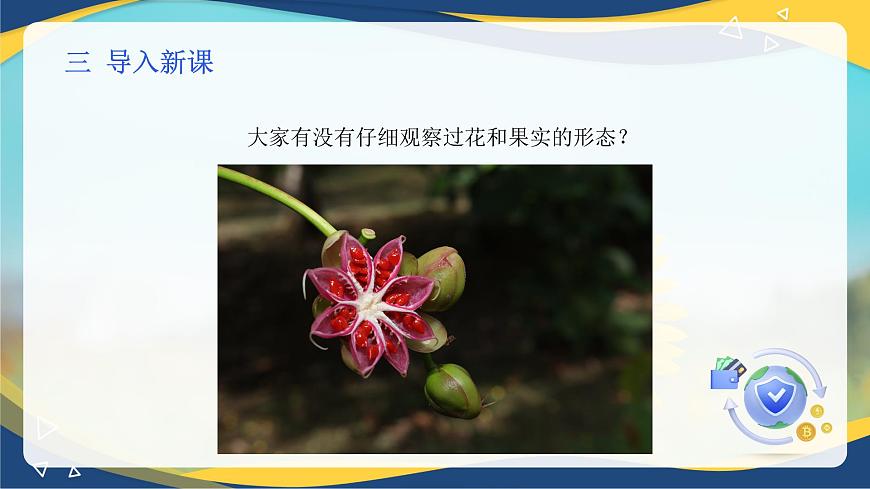 項目2 2.4 植物花的形態(tài)與結(jié)構(gòu)觀察（課件）-《植物生產(chǎn)與環(huán)境》（高教版第4版）同步精品課堂第4頁