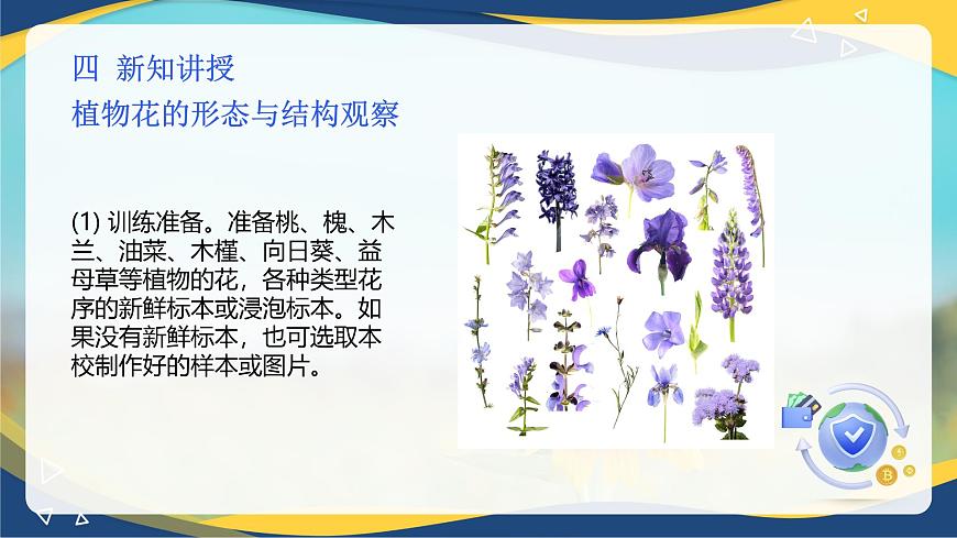 項目2 2.4 植物花的形態(tài)與結(jié)構(gòu)觀察（課件）-《植物生產(chǎn)與環(huán)境》（高教版第4版）同步精品課堂第5頁