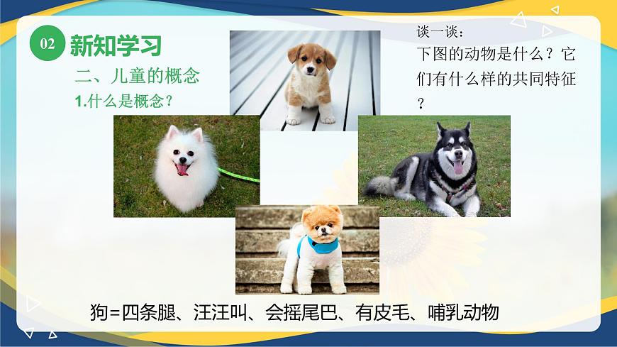 第二章+第五節(jié)+幼兒思維的發(fā)展2（課件）-《幼兒心理學(xué)》（人教版第二版）第8頁(yè)