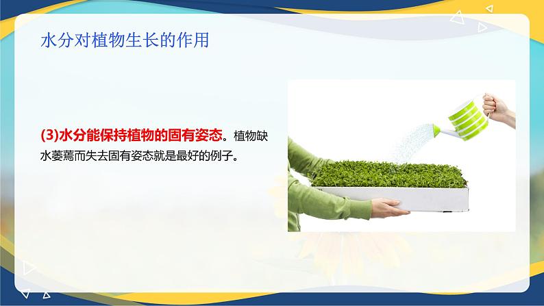 项目4 4.2 植物生产的水分调控(1)(课件)-《植物生产与环境》(高教版第4版)第8页