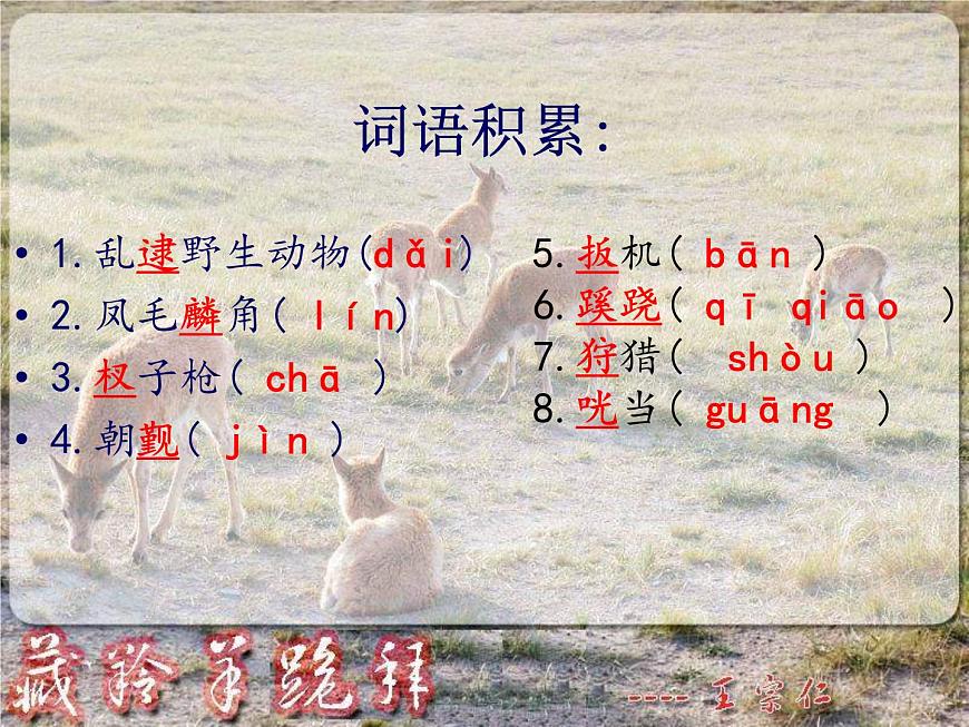 (人教版)中職語文基礎(chǔ)模塊下冊：第3課《藏羚羊跪拜》同步課件第3頁