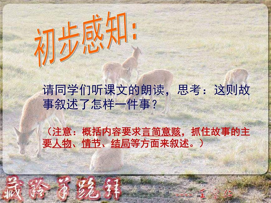 (人教版)中職語文基礎(chǔ)模塊下冊：第3課《藏羚羊跪拜》同步課件第5頁