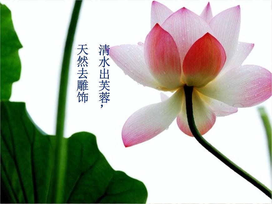 【語文版】中職語文基礎(chǔ)模塊上冊：第1課《雅舍》ppt課件（1）第2頁