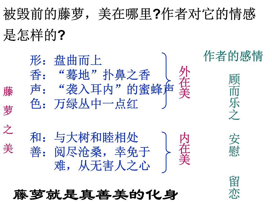 【語文版】中職語文基礎(chǔ)模塊上冊(cè)：第3課《幽徑悲劇》ppt課件（3）第5頁