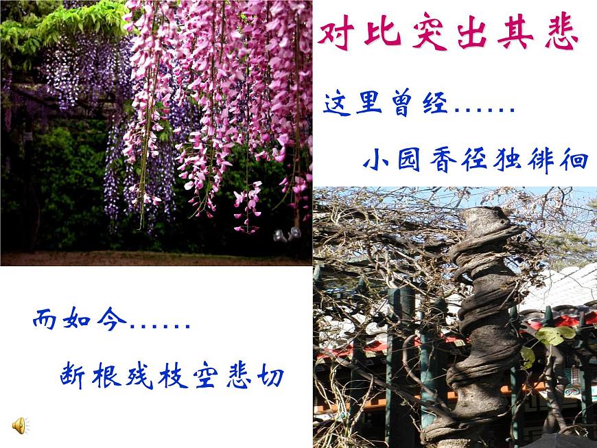 【語文版】中職語文基礎(chǔ)模塊上冊(cè)：第3課《幽徑悲劇》ppt課件（3）第7頁