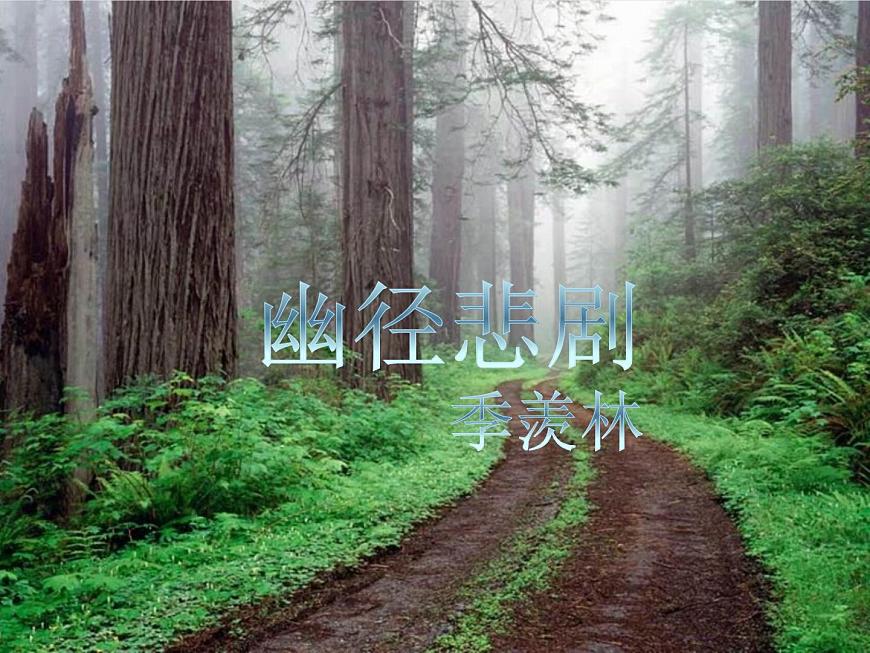 【語文版】中職語文基礎(chǔ)模塊上冊：第3課《幽徑悲劇》ppt課件（4）第1頁