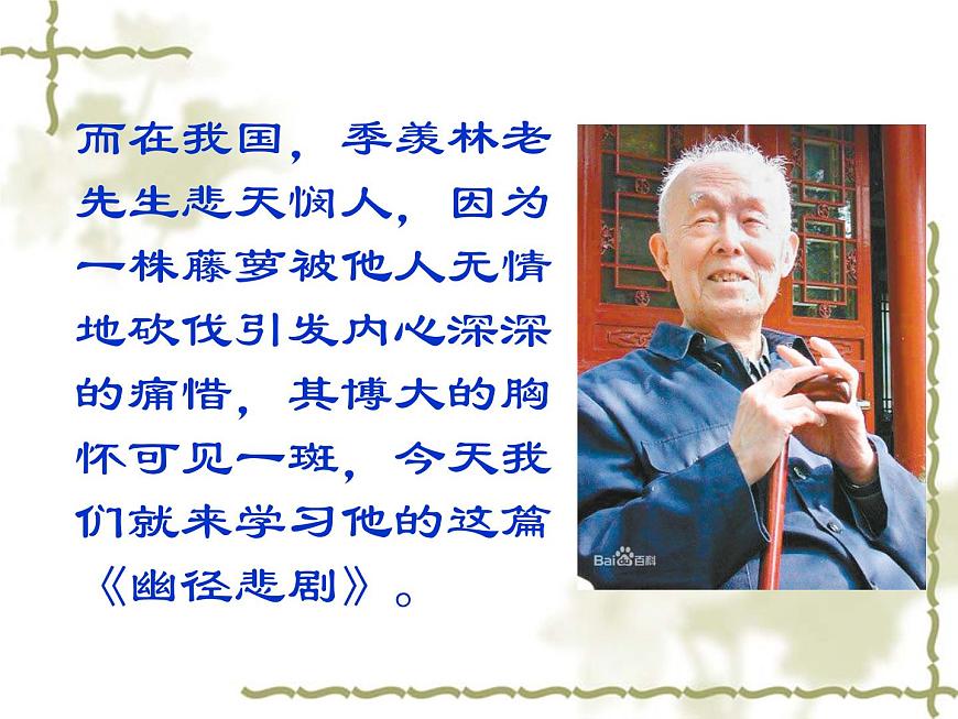 【語文版】中職語文基礎(chǔ)模塊上冊：第3課《幽徑悲劇》ppt課件（4）第3頁