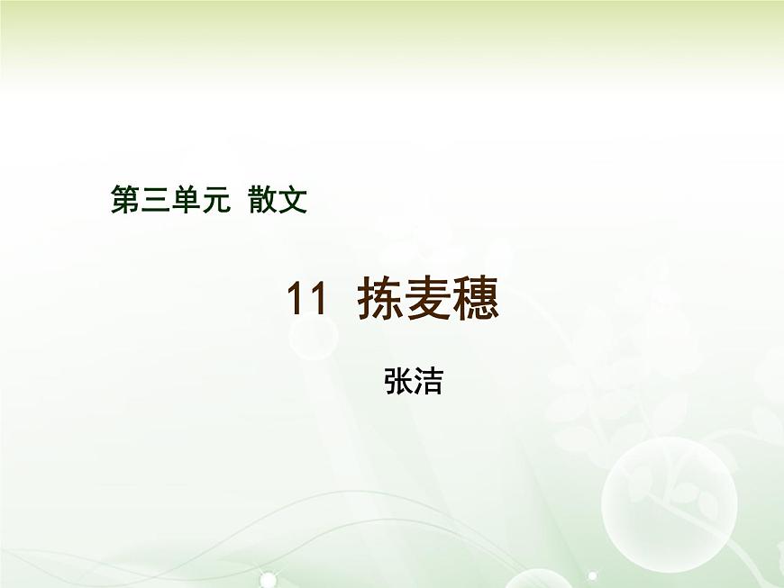 【語(yǔ)文版】中職語(yǔ)文基礎(chǔ)模塊上冊(cè)：第4課《揀麥穗》ppt課件（1）第1頁(yè)