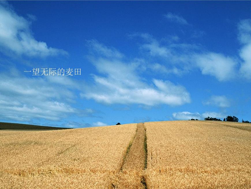 【語(yǔ)文版】中職語(yǔ)文基礎(chǔ)模塊上冊(cè)：第4課《揀麥穗》ppt課件（1）第2頁(yè)