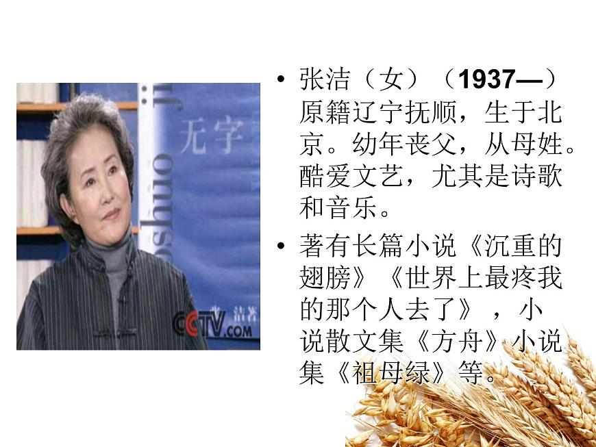 【語(yǔ)文版】中職語(yǔ)文基礎(chǔ)模塊上冊(cè)：第4課《揀麥穗》ppt課件（2）第4頁(yè)