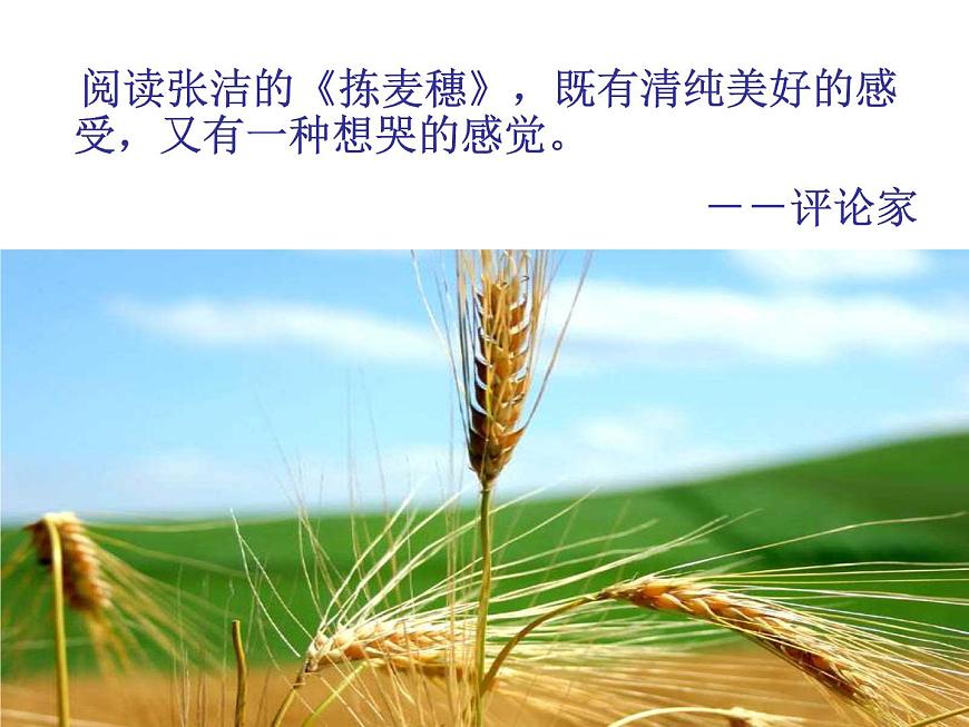 【語(yǔ)文版】中職語(yǔ)文基礎(chǔ)模塊上冊(cè)：第4課《揀麥穗》ppt課件（2）第6頁(yè)
