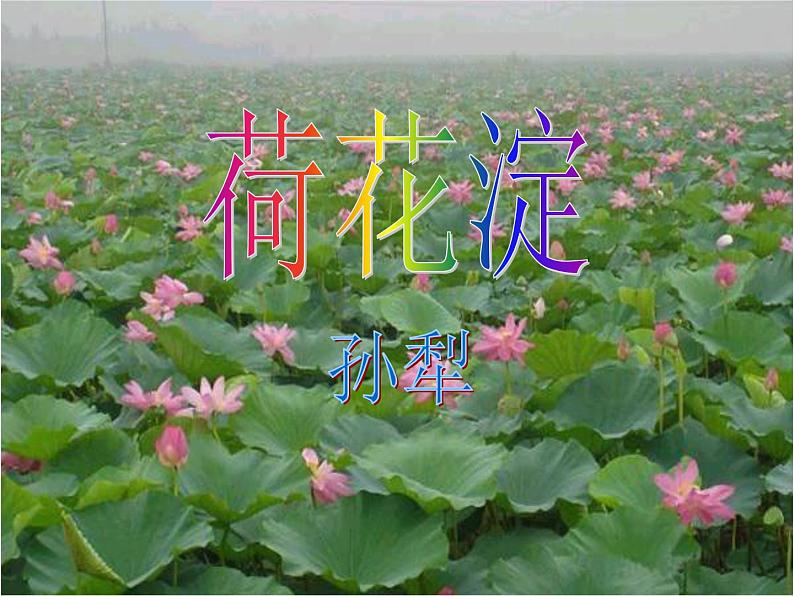【高教版】中职语文基础模块上册:第11课《荷花淀》ppt课件(2)01