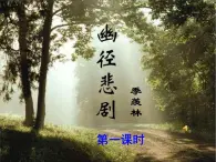 幽徑悲劇PPT課件免費下載