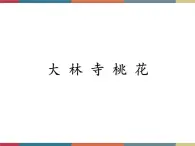 高教版中职高一语文基础模块下册 第4单元 古诗词《大林寺桃花》课件