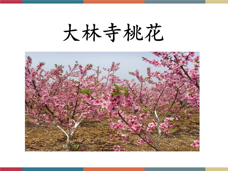 高教版中职高一语文基础模块下册 第4单元 古诗词《大林寺桃花》课件第7页