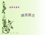 1.4调查报告课件PPT