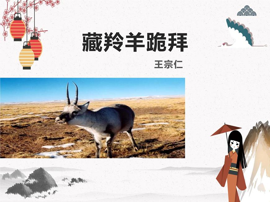 《藏羚羊跪拜》人教版中職語文基礎(chǔ)模塊下冊(cè)課件PPT第1頁