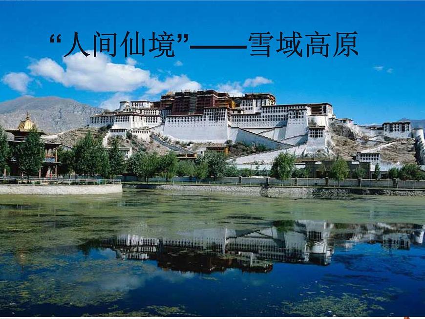 《藏羚羊跪拜》人教版中職語文基礎(chǔ)模塊下冊(cè)課件PPT第2頁