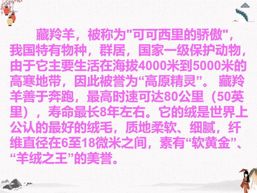 《藏羚羊跪拜》人教版中職語文基礎(chǔ)模塊下冊(cè)課件PPT第6頁