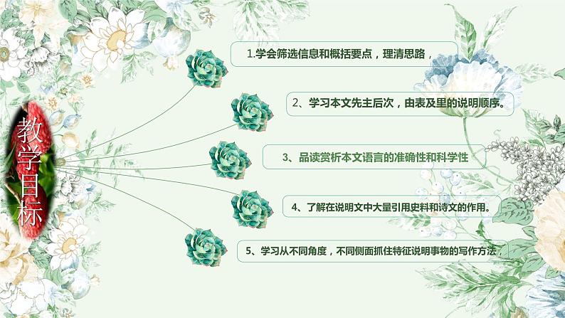 南州六月荔枝丹课件PPT第2页